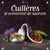Cuillères le concentré de saveurs