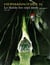Le diable des sept mers Tome 2