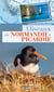 Oiseaux de Normandie-Picardie