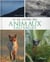 La vie cachée des animaux sauvages