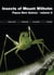 Insects of mount Wilhelm - Papua New Guinea t.2
