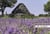 Le Luberon