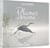 Plumes de brume : instants nature sur le lac de Bambois