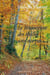 Le bruissement des feuilles sous nos pas