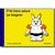 P'tit Frère Tome 13 : P'tit frère adore se baigner