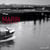 Marin - les élèves de la mer