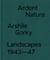 Ardent nature : arshile gorky landscapes, 1943-47