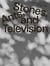 Zygmunt Rytka : Stones ants and television