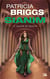 Sianim Tome 3 : le voleur de dragon