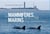 Les mammiferes marins de l'île de Re et des pertuis Charentais