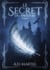 Le Secret du Faucon - Tome 1