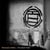 The great year