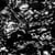 AIA: dream loss - Vinyle