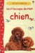 Je m'occupe de mon chien