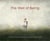 The well of being: a children''s picture book for adults