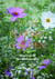 The flower garden how to grow flowers from seed
