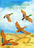 Quatre canards dans le vent