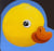 Oh ! le petit canard !