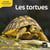 LES DOCS RIBAMBELLE : les tortues - cycle 2