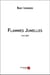 Flammes jumelles - le lien