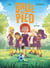 Balle au pied Tome 2 : Foot à cinq