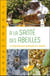 À la santé des abeilles - la phytothérapie appliquée aux abeilles
