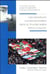 LES TRANSITIONS CONSTITUTIONNELLES DANS LE MONDE ARABE