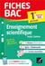 Fiches bac : enseignement scientifique - 1re, tronc commun