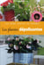 Les plantes depolluantes
