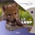 Le loup