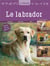 Le labrador