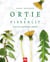 Ortie et pissenlit - vive les mauvaises herbes