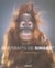 Portraits de singes