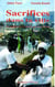 Sacrifices dans la ville - le citadin chez le devin en Côte d'Ivoire