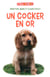 JE REUSSIS : un coker en or