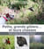 Petits, grands gibiers... et leurs chasses