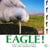 Eagle ! - les cles du golf par 100 grands pros