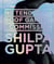Ng teng fong roof garden commission : Shilpa Gupta