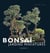 Bonsai, jardins miniatures