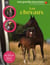 Les chevaux