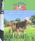 La vache