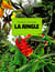 Jungle (la)