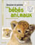 Dessiner et peindre les bébés animaux