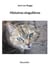 Histoires singulieres