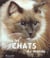 Tous les chats du monde