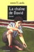La chaine de david