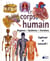 Le corps humain
