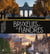 Bruxelles et les Flandres