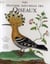 Histoire naturelle des oiseaux de buffon