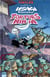 USAGI YOJIMBO comics - Tortues Ninja